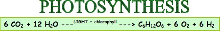 Photosynthesis Equation